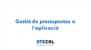 gestio pressupostos