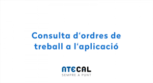 ordres treball