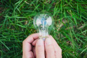 close up of two hands holding light bulb against green grass